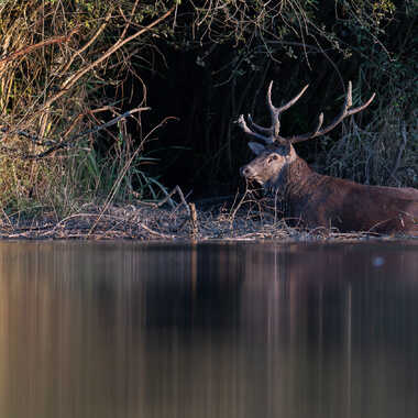 Le repos du guerrier par jeromebouet