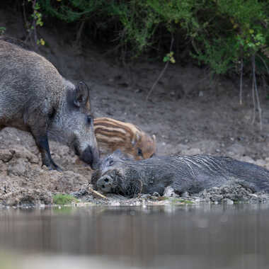Thalasso Solognote par jeromebouet