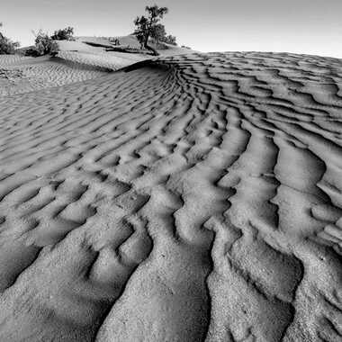 Desert Marocain par sp26