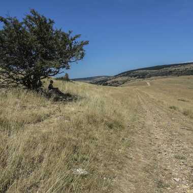 Gagnant du Concours Photo Chaleur estivale