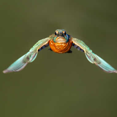 Dans l'axe du photographe par jeromebouet