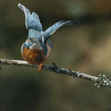 Décollage par Yves1964