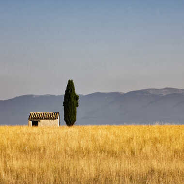 Quiétude par papiavion