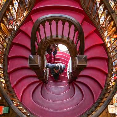 Les escaliers de la librairie