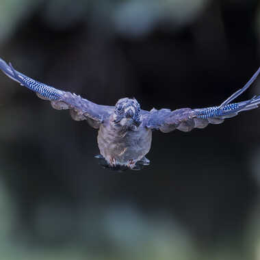 Je sors du bain par Barni