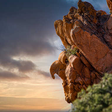 Gagnant du Concours Photo La pareodolie