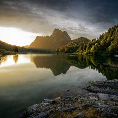 reveil matin par photoch