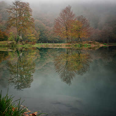 Brumes d'Automne