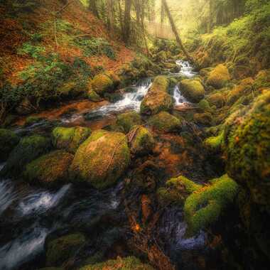 riviere d automne par photoch