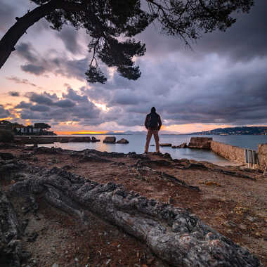 Fascination marine par Michel06