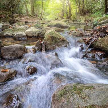 Balade onirique par Franck06