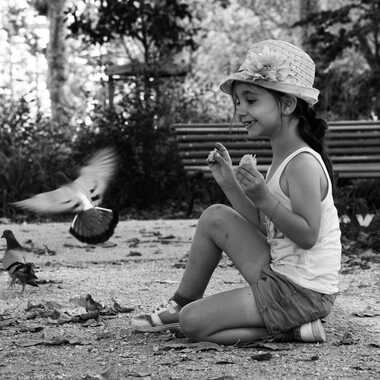 les pigeons par Flophoto