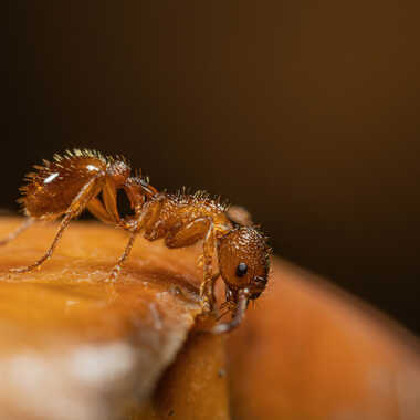 Et par là ?? par JeBricole