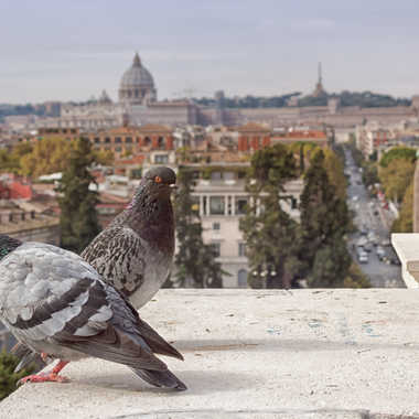 Roucouler à Rome par patrick69220