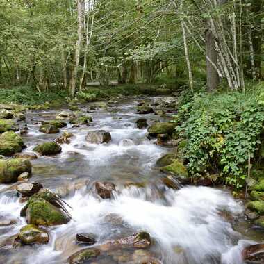 Le torrent par Philippe33