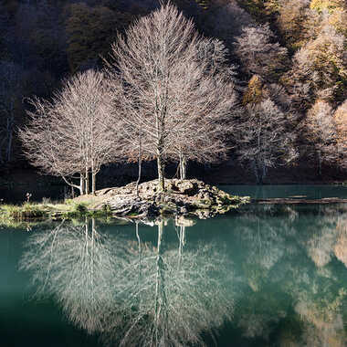 Robinsons par papiavion