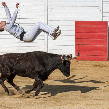 Gagnant du Concours Photo Au bon moment
