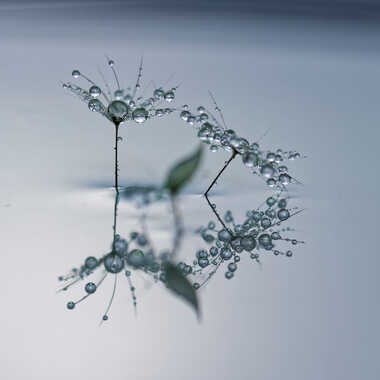 "Metallic" droplets. par Philgreffe