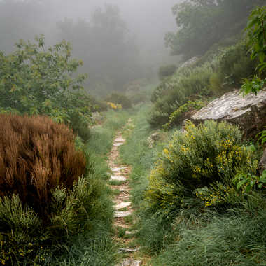 Chemin Cévenole par ChrisO7