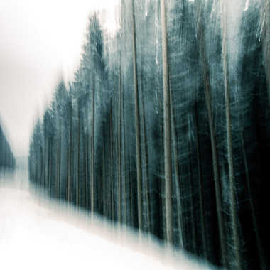 Un chemin forestier neigeux par Lolo Zikgyver