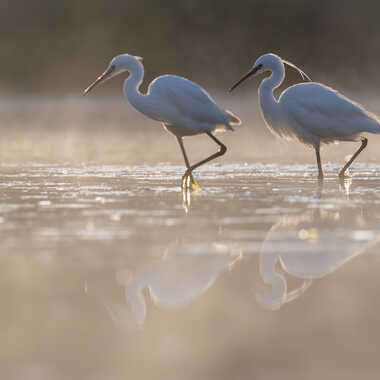 Synchronisé par jeromebouet