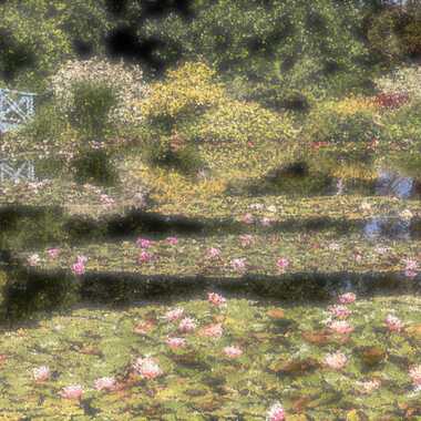 Gagnant du Concours Photo Faisons un peu de paintographie