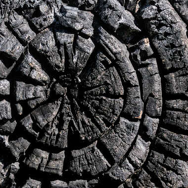 Au choix... par ERASMUS