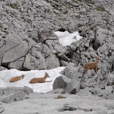 Gagnant du Concours Photo Chaleur estivale