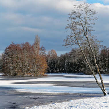 Gagnant du Concours Photo Glace et neige