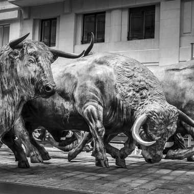 Los toros de Pamplona par sylmorg