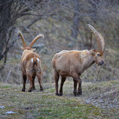 Le calme avant la tempête! par AV1960
