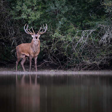 Premier raire 2025 par jeromebouet