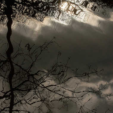 Crépuscule par Nikon78
