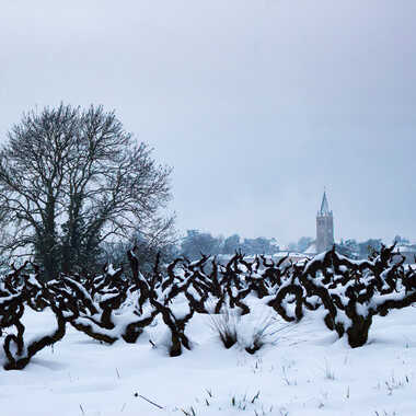 L'hiver en Beaujolais par patrick69220