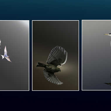 Triptyque par suzlim