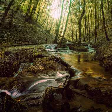 riviere d automne par photoch