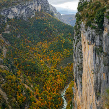Vertigo d'automne. par Philgreffe