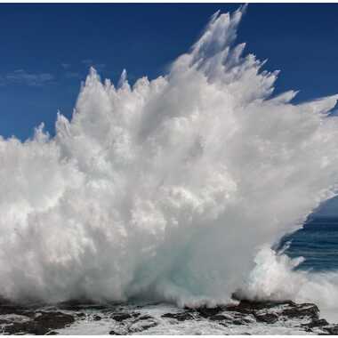 Gagnant du Concours Photo Au bon moment