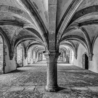 Archives romanes : abbaye de Fontenay par Theodoric