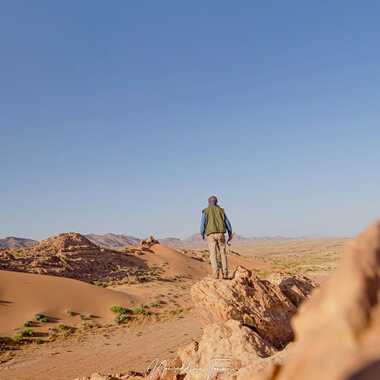 Sentinelle du désert par fennecdz