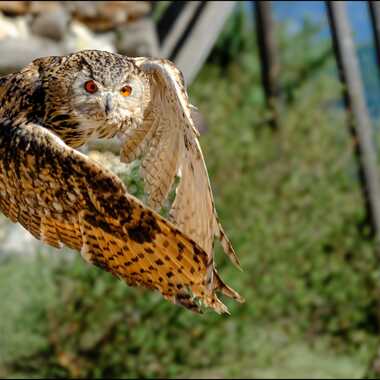 Ecartez vous ... par Daniel_C