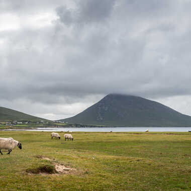 L'île aux moutons par bobox25
