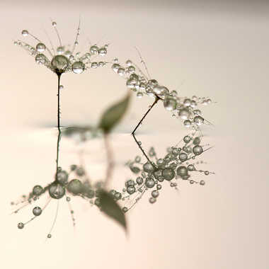 Artistic droplets. par Philgreffe