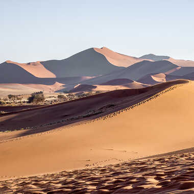 Désert namibien par patrick69220