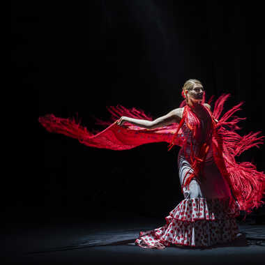 Flamenco par DFluzin