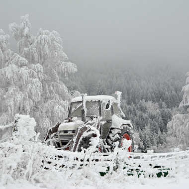 Gagnant du Concours Photo Neige