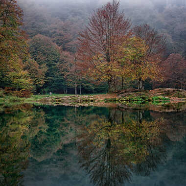 Reflet brumeux par jibi