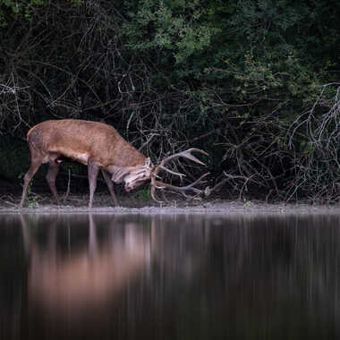 La tension monte... par jeromebouet