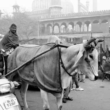 Old Delhi par patrick69220