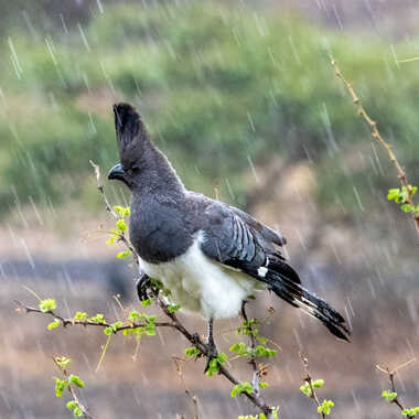 Gagnant du Concours Photo Pluie